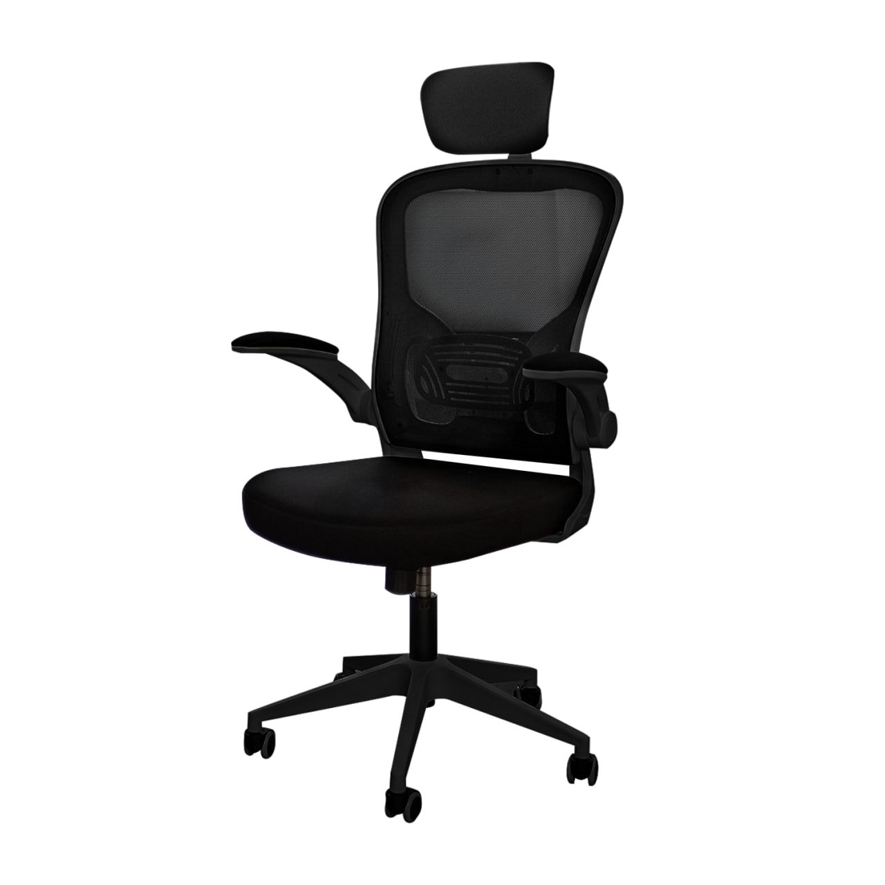 Ergochair 2 colors hot sale